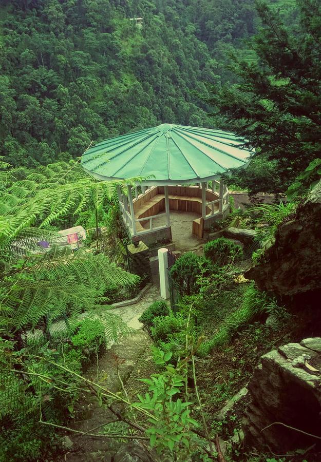 Enchanted Forest Farmstay Gangtok Eksteriør bilde