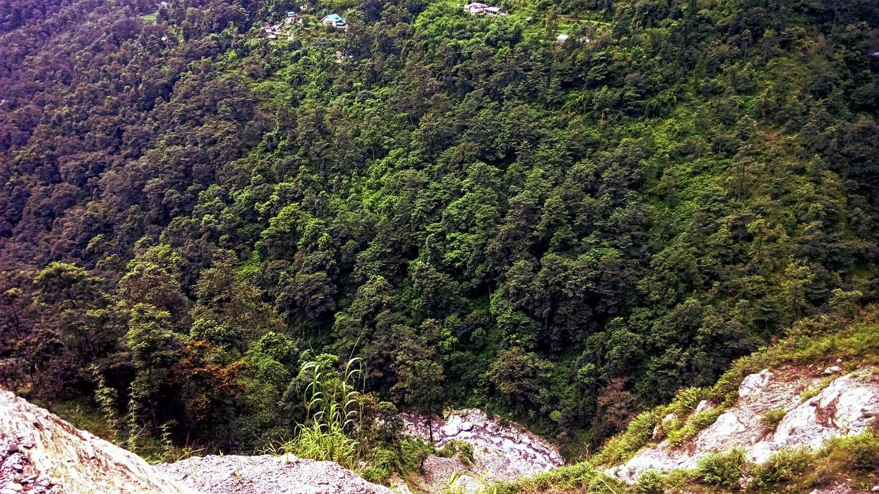 Enchanted Forest Farmstay Gangtok Eksteriør bilde