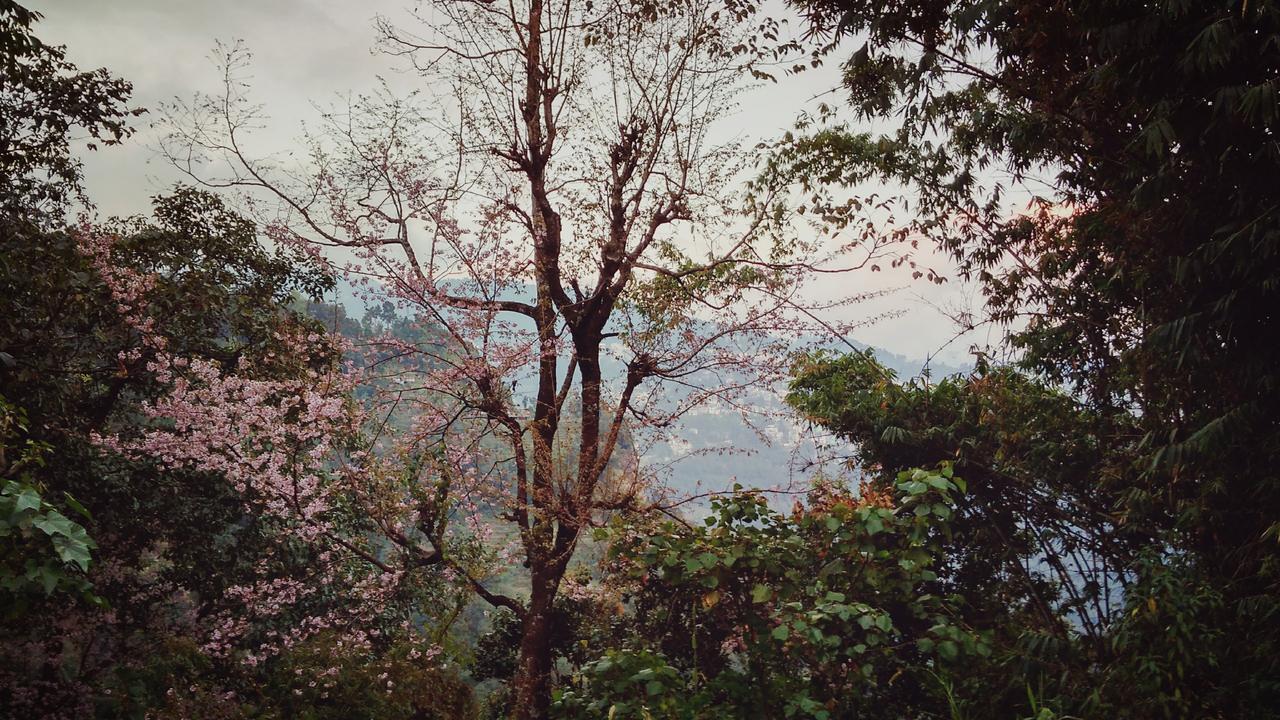 Enchanted Forest Farmstay Gangtok Eksteriør bilde