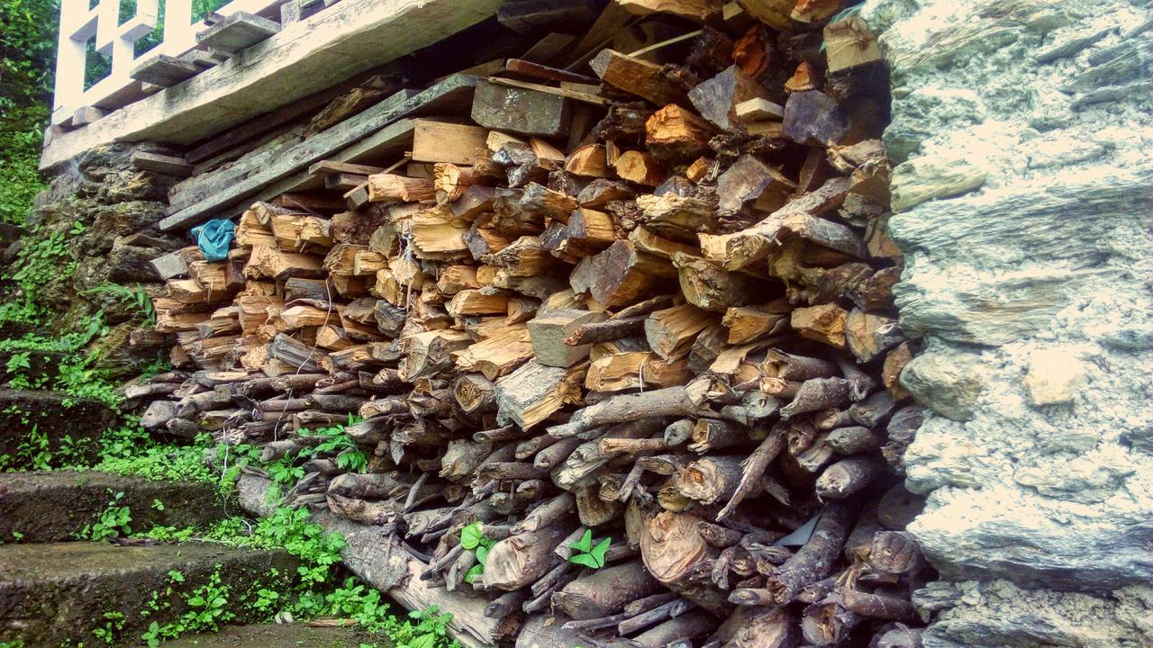 Enchanted Forest Farmstay Gangtok Eksteriør bilde