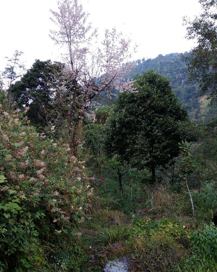 Enchanted Forest Farmstay Gangtok Eksteriør bilde