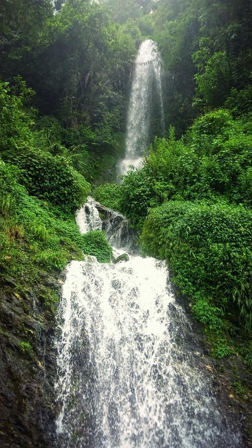Enchanted Forest Farmstay Gangtok Eksteriør bilde