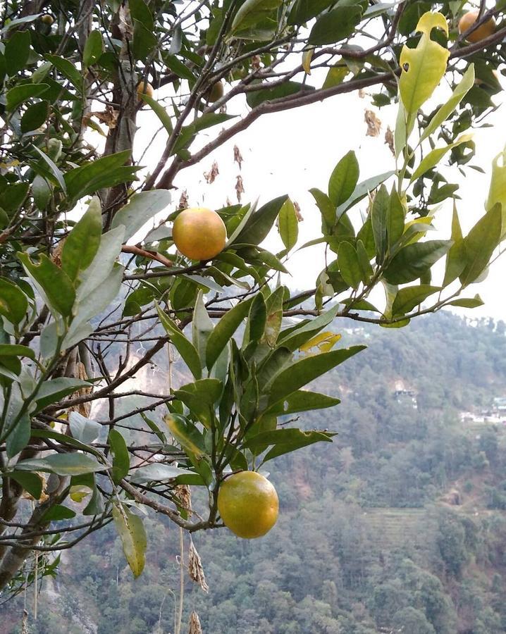Enchanted Forest Farmstay Gangtok Eksteriør bilde