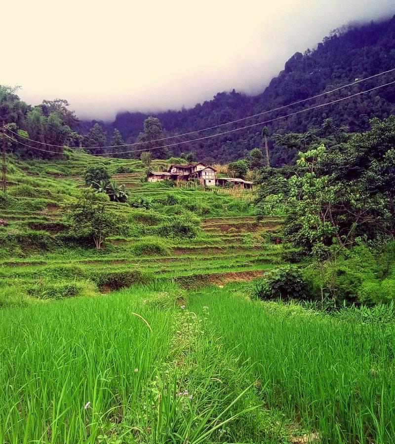 Enchanted Forest Farmstay Gangtok Eksteriør bilde