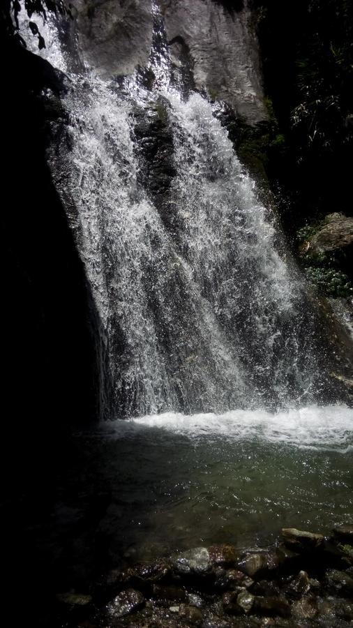 Enchanted Forest Farmstay Gangtok Eksteriør bilde