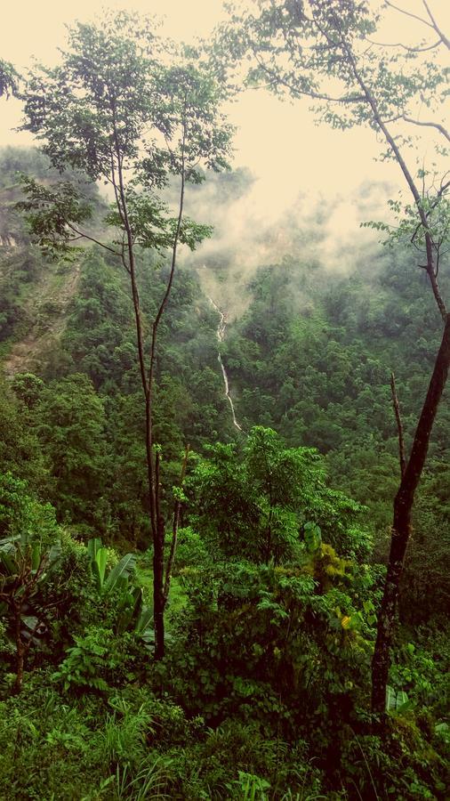 Enchanted Forest Farmstay Gangtok Eksteriør bilde