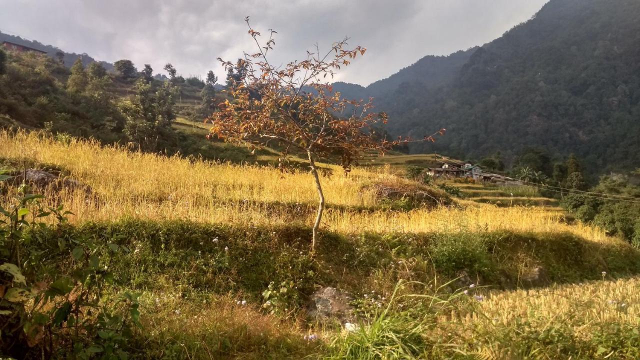 Enchanted Forest Farmstay Gangtok Eksteriør bilde