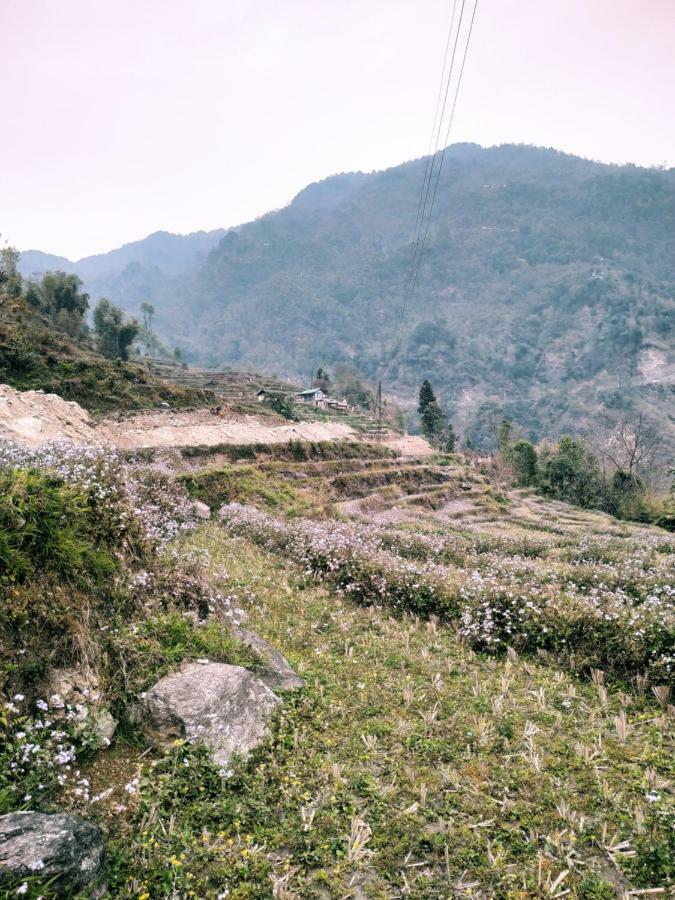Enchanted Forest Farmstay Gangtok Eksteriør bilde