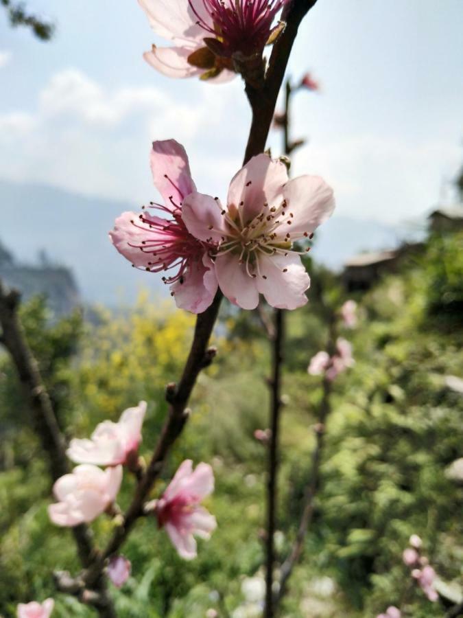 Enchanted Forest Farmstay Gangtok Eksteriør bilde