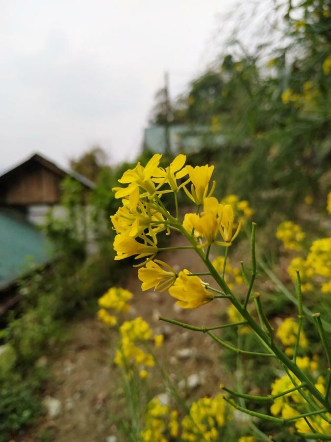 Enchanted Forest Farmstay Gangtok Eksteriør bilde