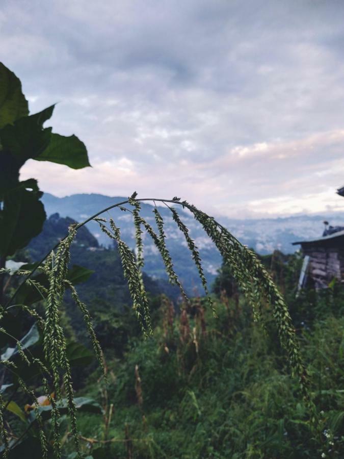 Enchanted Forest Farmstay Gangtok Eksteriør bilde