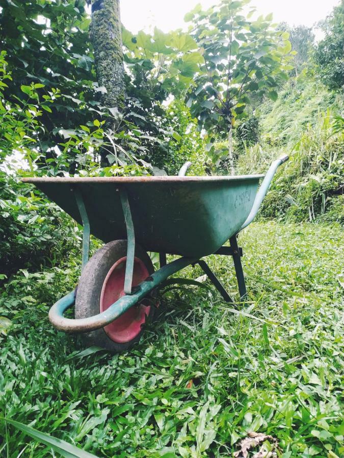 Enchanted Forest Farmstay Gangtok Eksteriør bilde