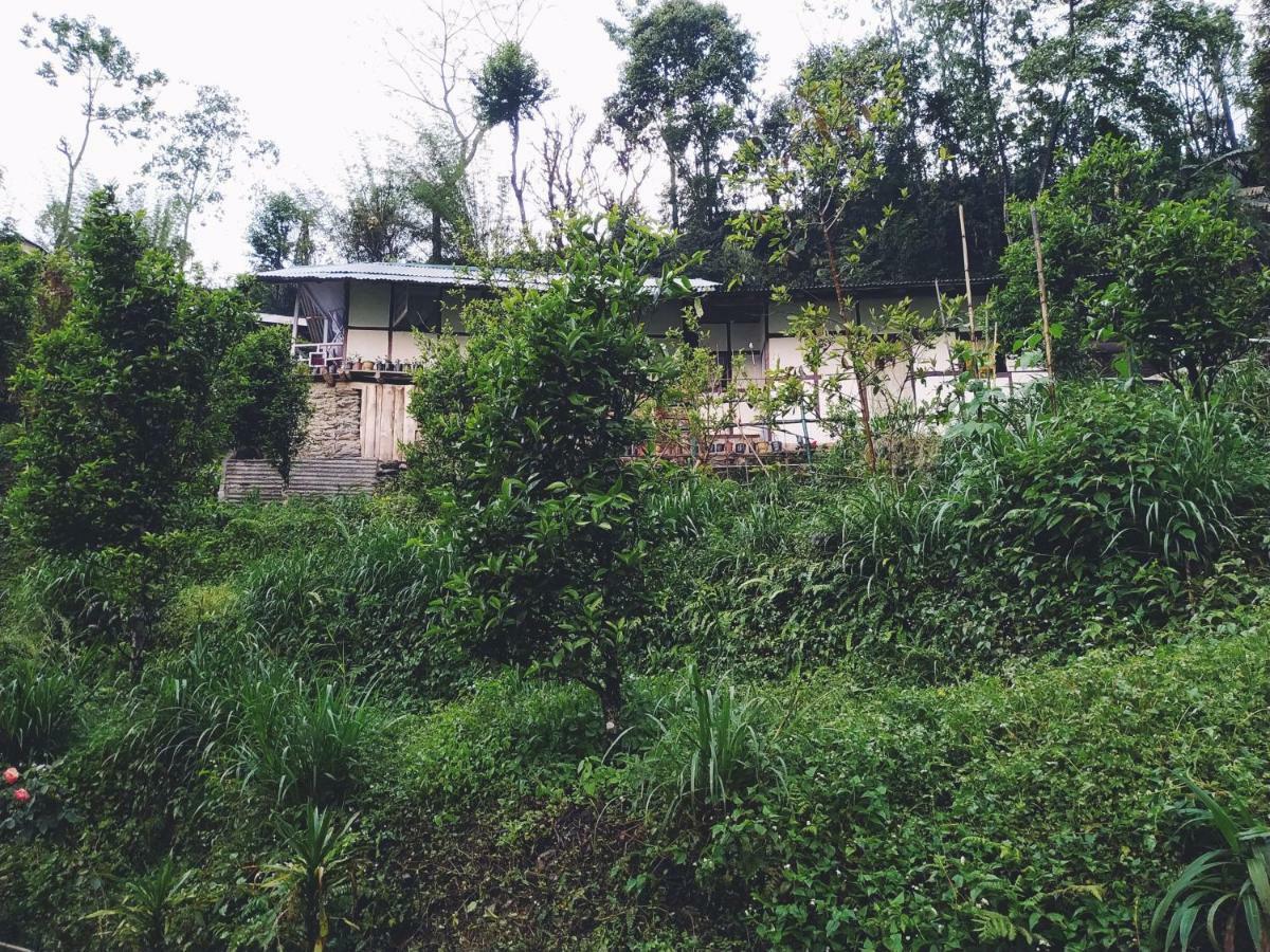 Enchanted Forest Farmstay Gangtok Eksteriør bilde